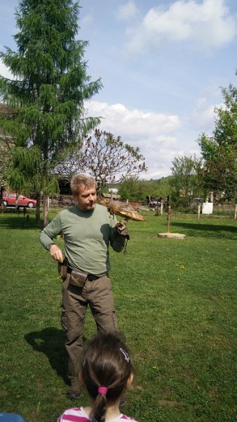 Sokoliari Kurima 17.jpg