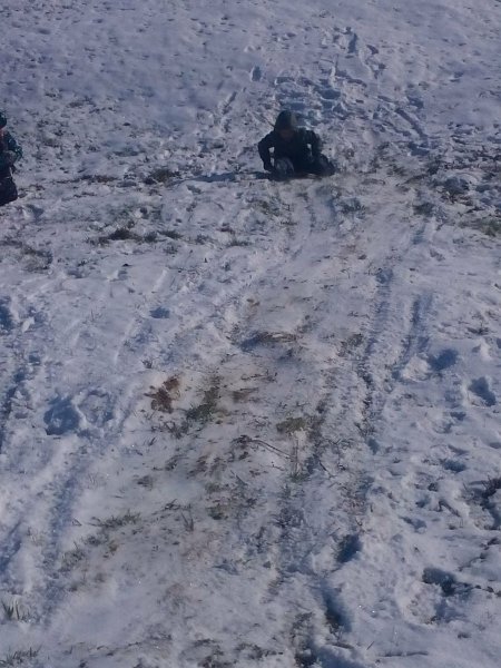 Zimna olympiada  2.jpg