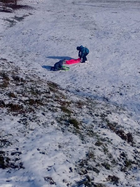 Zimna olympiada  6.jpg