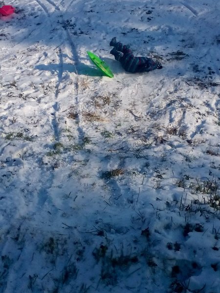 Zimna olympiada  7.jpg