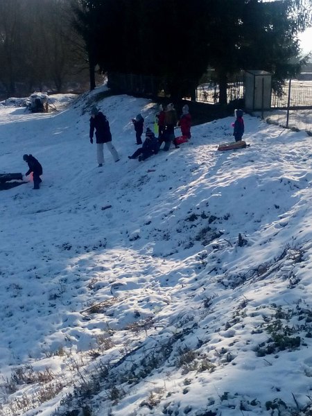 Zimna olympiada  8.jpg