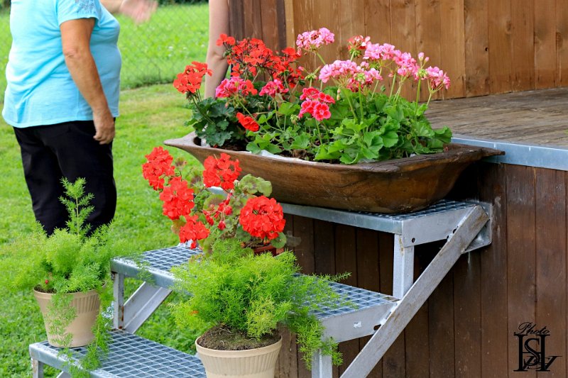 Festival2019 182.jpg