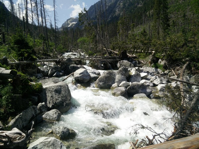 Vylet-Tatry 13.jpg