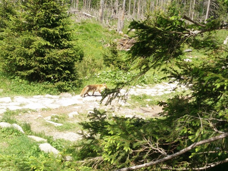 Vylet-Tatry 5.jpg