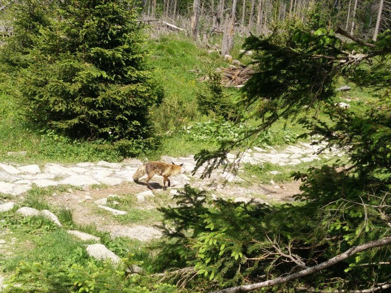 Vylet-Tatry 6.jpg