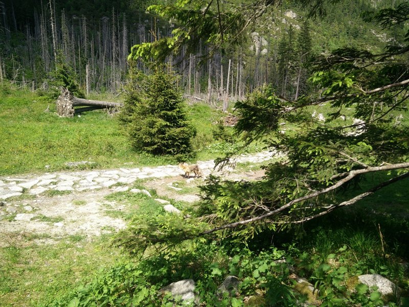 Vylet-Tatry 7.jpg