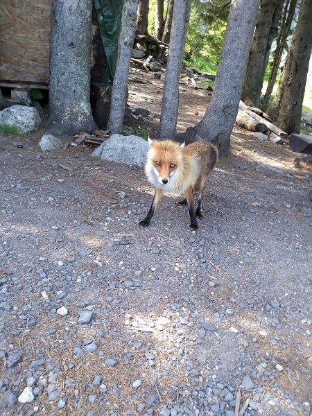 Vylet-Tatry 9.jpg