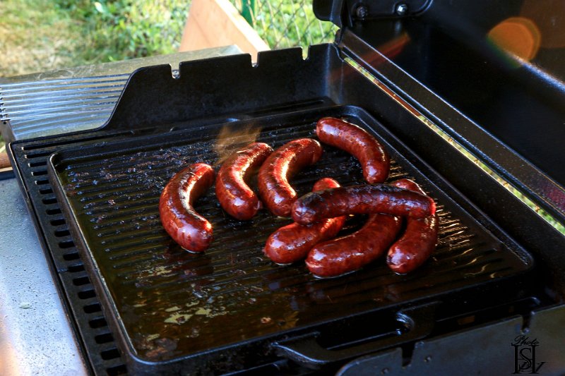 Festival2022 153.jpg