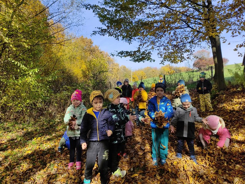 Jesen 8.jpg