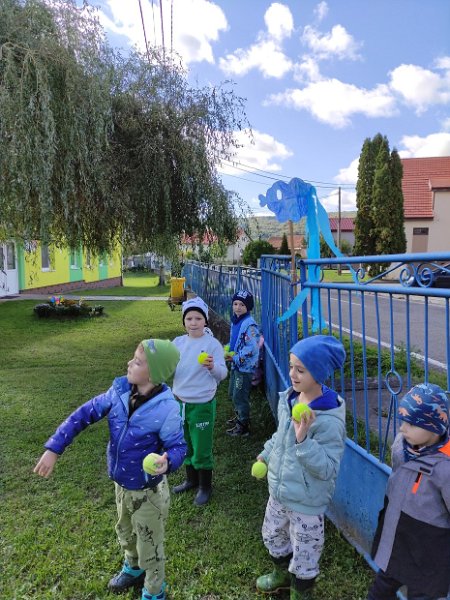 Sportujeme24.jpg