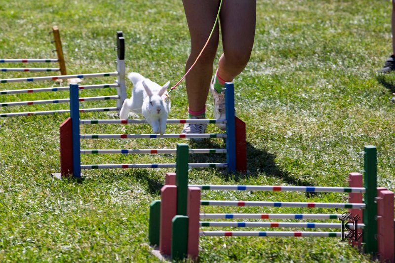 Dubinska varecha 100.jpg