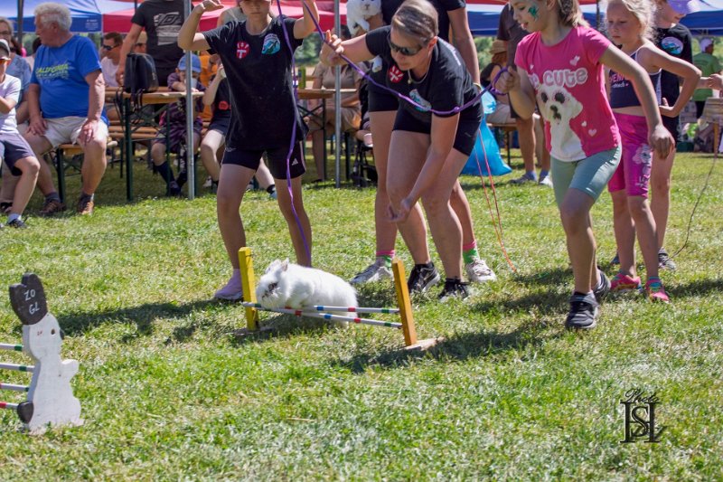 Dubinska varecha 109.jpg