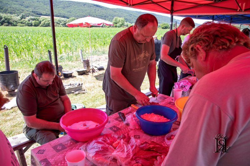 Dubinska varecha 21.jpg