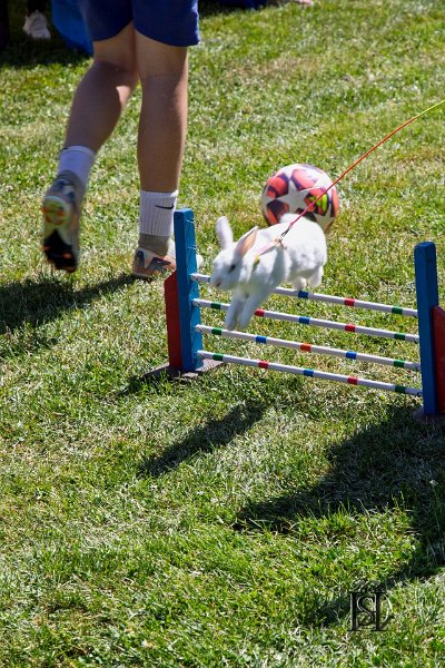 Dubinska varecha 78.jpg