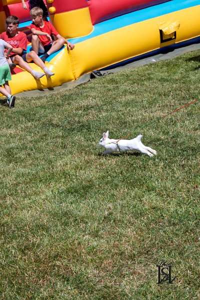 Dubinska varecha 80.jpg