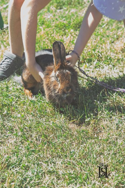 Dubinska varecha 83.jpg