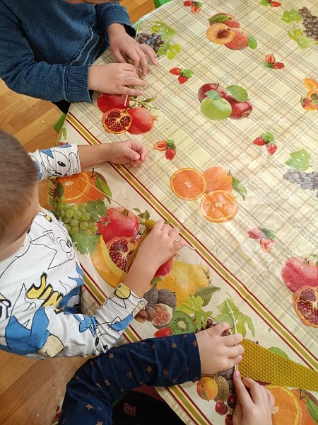 Teta vcelarka 22.jpg