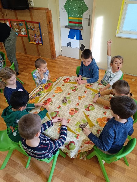 Teta vcelarka 23.jpg