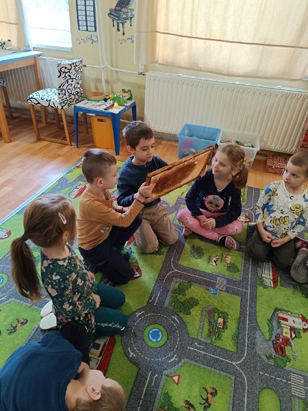 Teta vcelarka 37.jpg